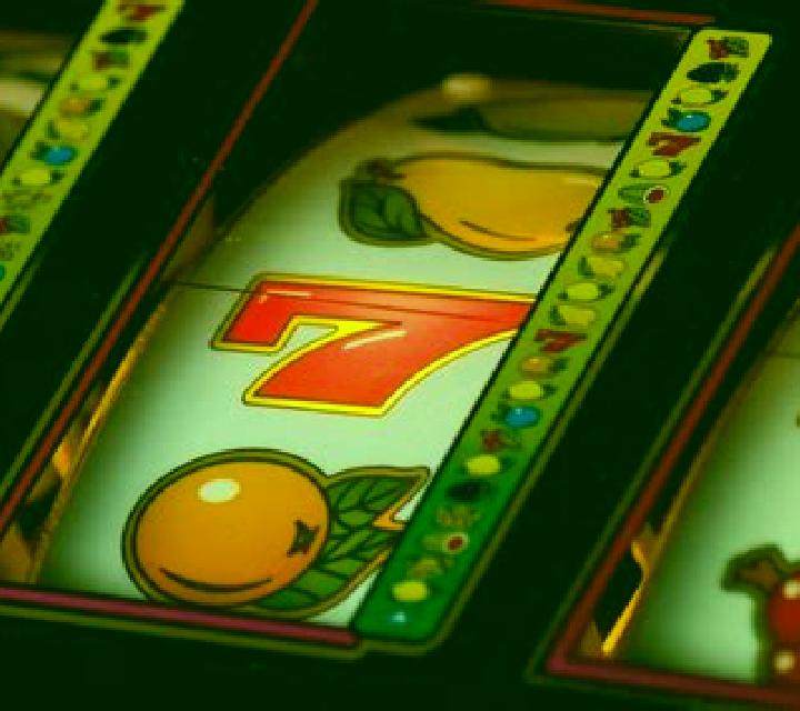 Krötenwanderung slot machine