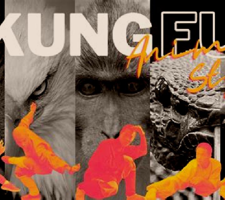 Kung Fu All Stars slot game