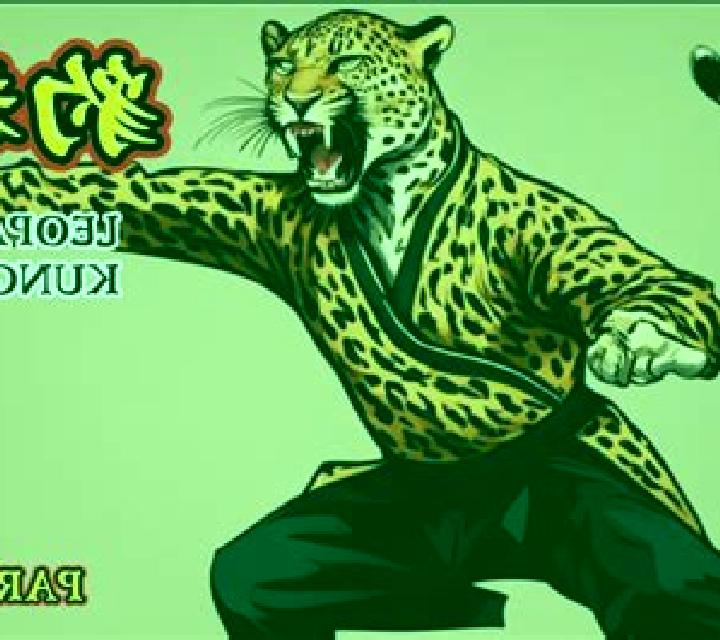 Kung Fu Leopard slot game