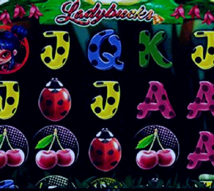 Ladybucks slot