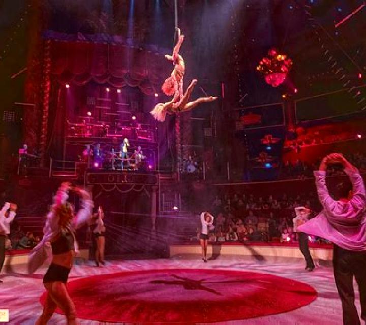 Le Cirque online slot