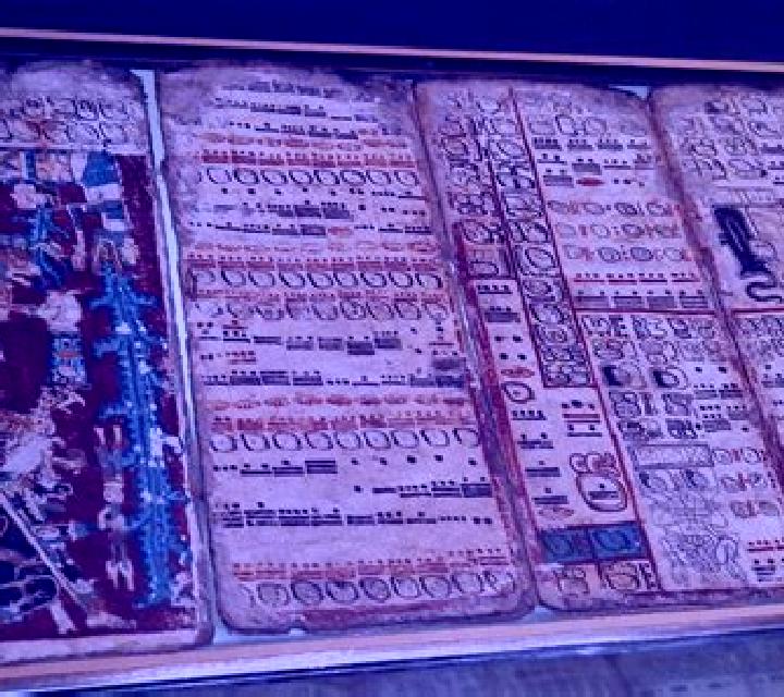 Leicester Codex slot machine