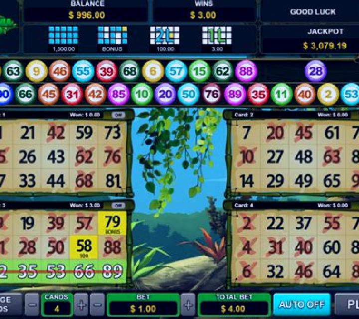 Lejano Oeste Bingo slot machine