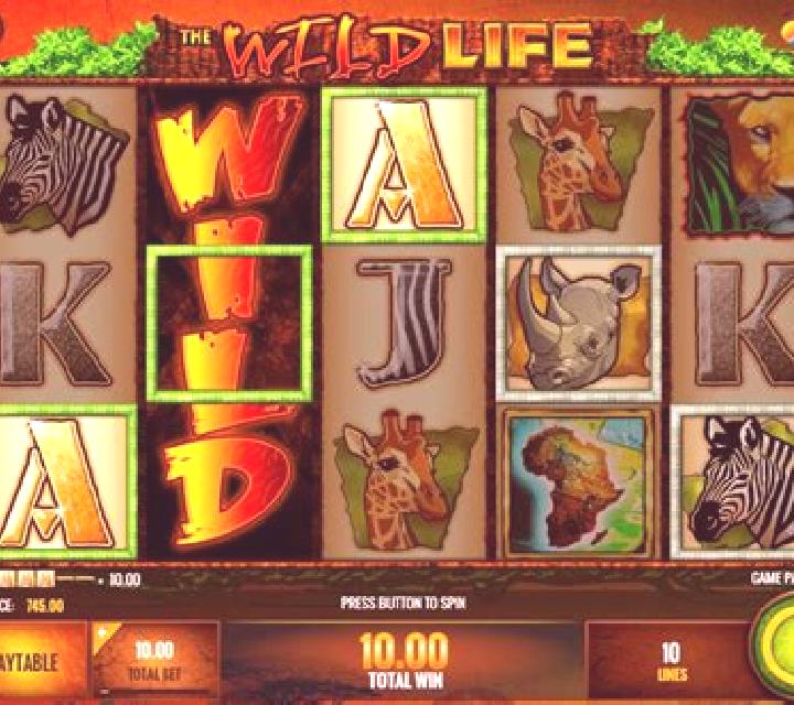 Life after Life slot game