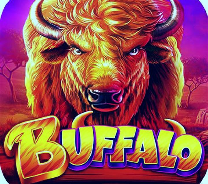 Link King Burning Buffalo slot machine