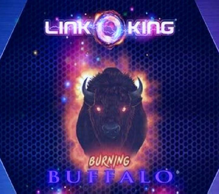 Link King Burning Buffalo slot