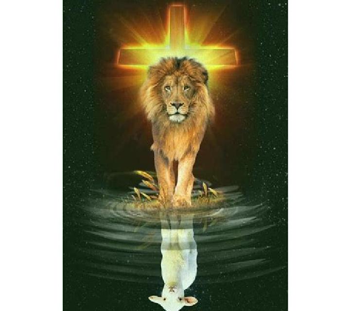 Lion of the East online slot