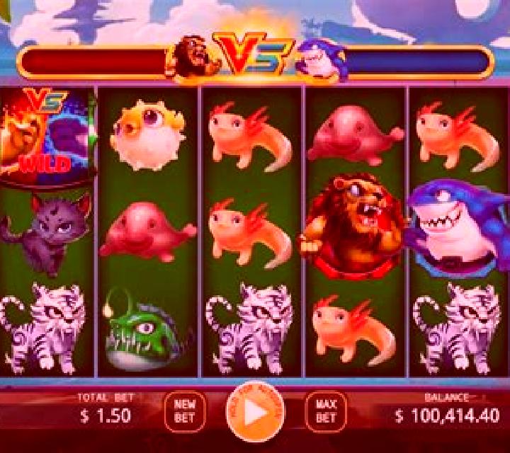 Lion vs Shark slot