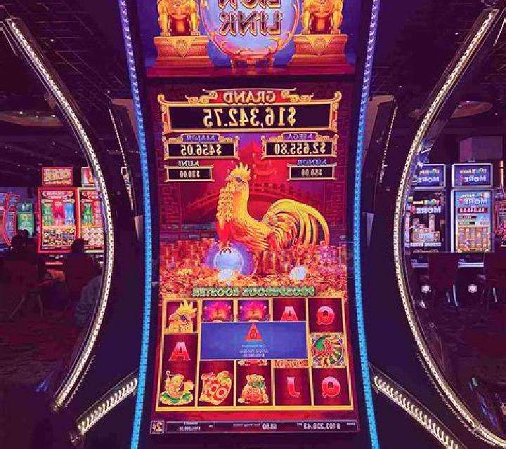 Lion s Fortune slot machine