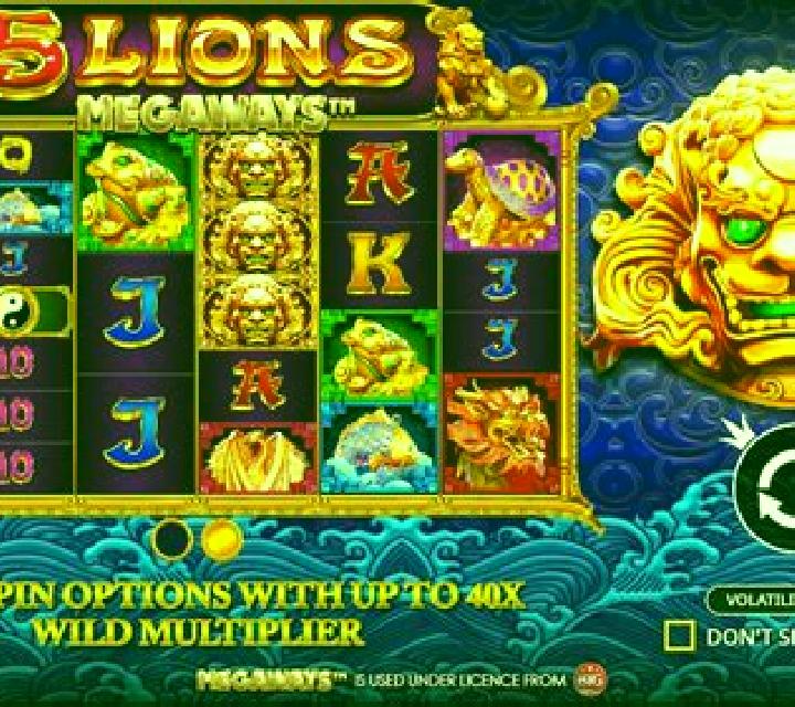 Lion s Riches slot