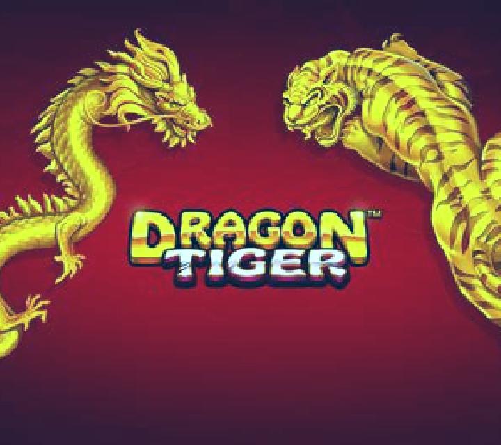 Live Dragon Tiger slot game