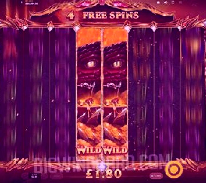 Live Wild Reels slot