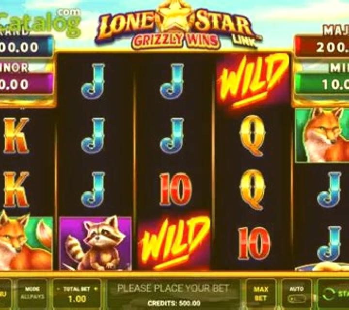 Lone Star Link Grizzly Wins slot