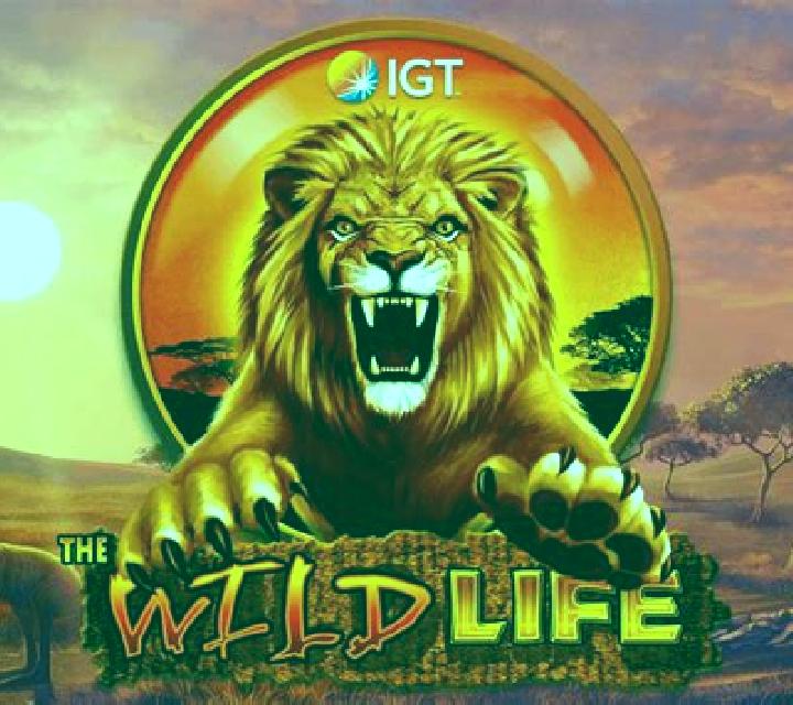 Long And Happy Life slot game