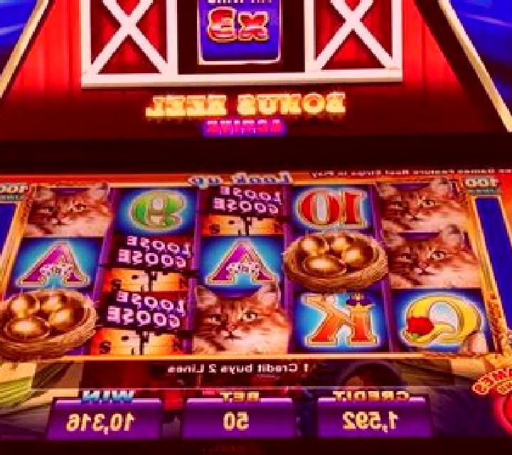 Loose Goose slot machine