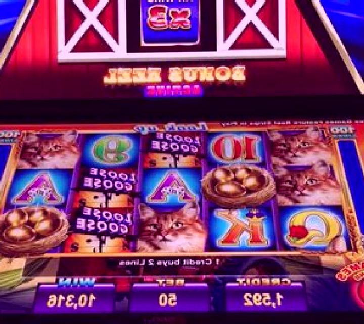 Loose Goose slot