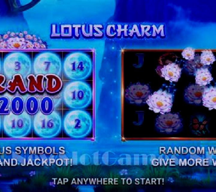 Lotus Charm slot