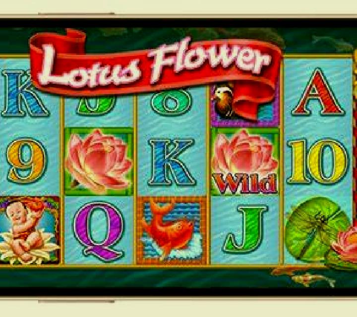 Lotus Flower slot game