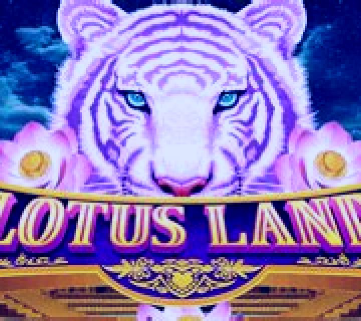 Lotus Land slot