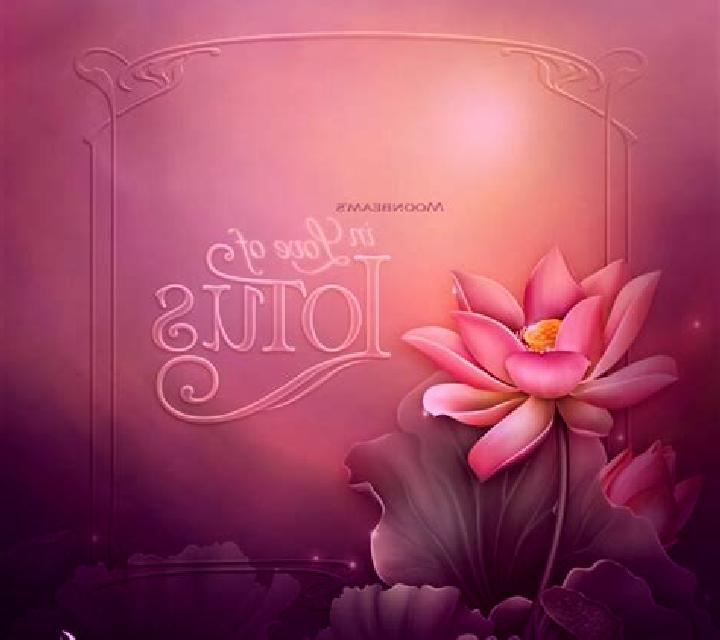 Lotus Love online slot
