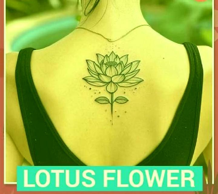 Lotus Luck Safe Zone online slot