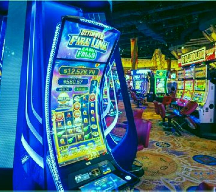 Lotus Luck Safe Zone slot