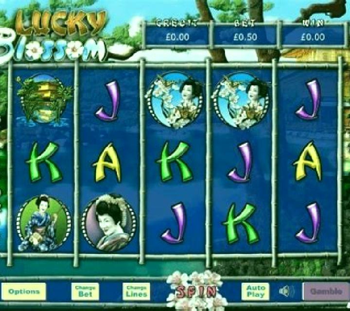 Lucky Blossom slot