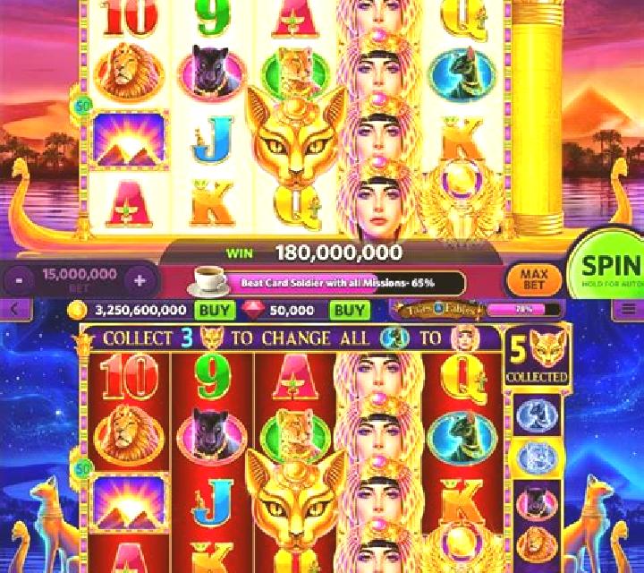 Lucky Cat Gala slot game