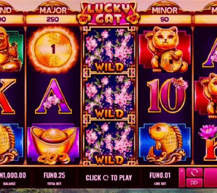 Lucky Cat (Platipus) slot