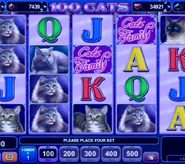 Lucky Cats (Amusnet) slot