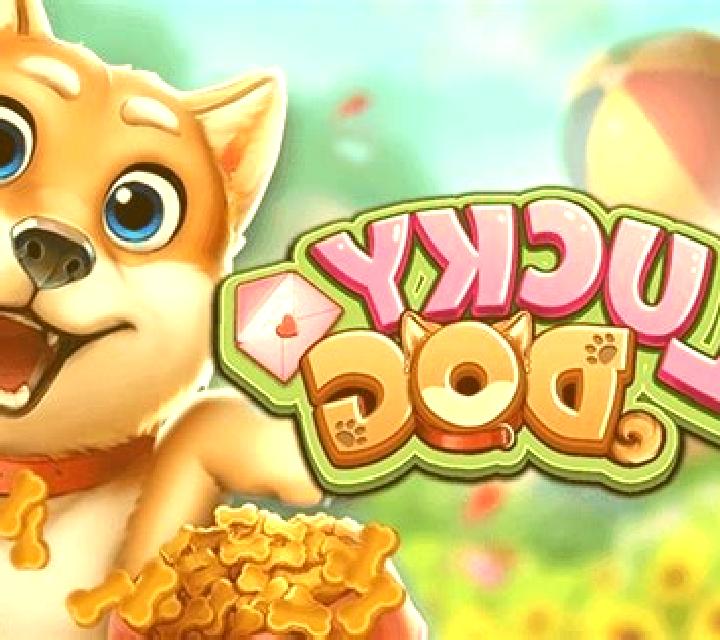 Lucky Dog (Bbin) slot game