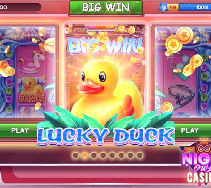 Lucky Duck (Playbro) slot