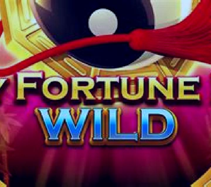 Lucky Fortune Door Wild slot game
