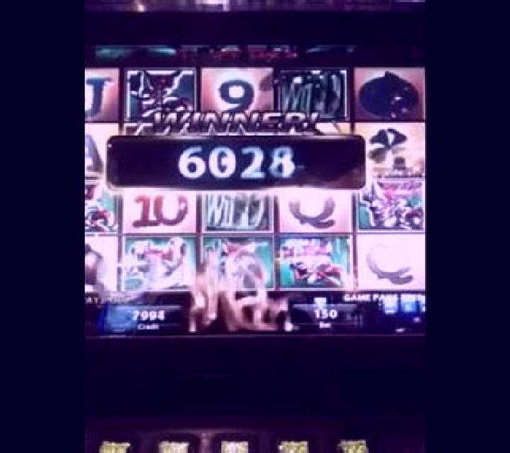 Lucky Fox slot machine