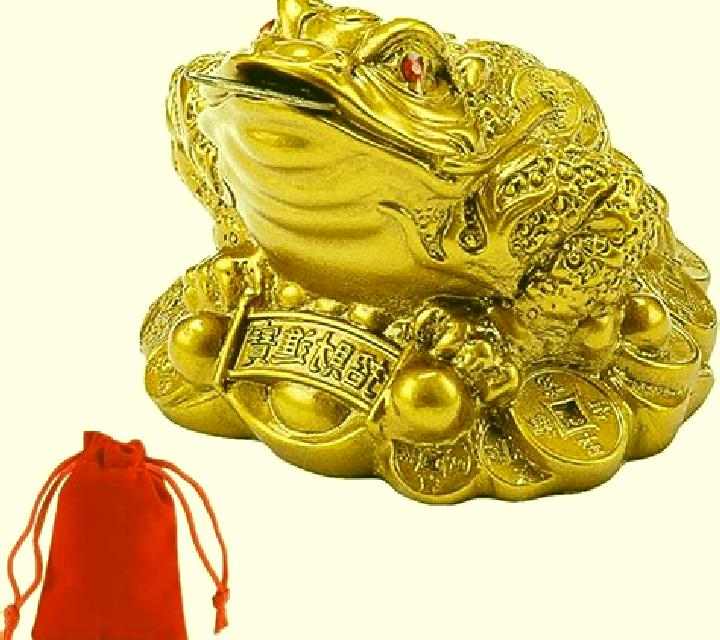 Lucky Money Toad slot game