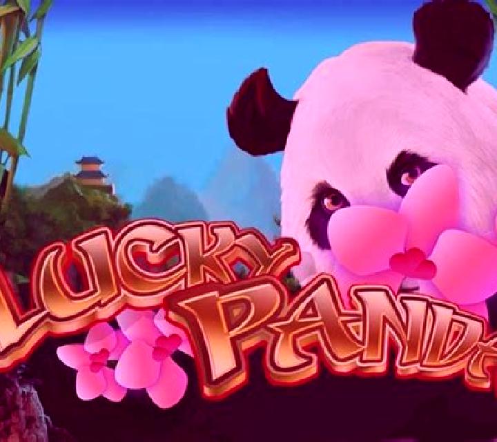 Lucky Panda (Playteh) slot game