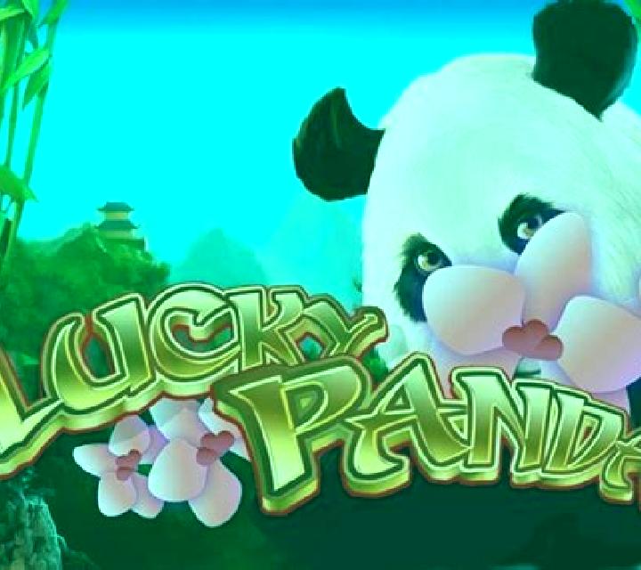 Lucky Panda (Playteh) slot machine