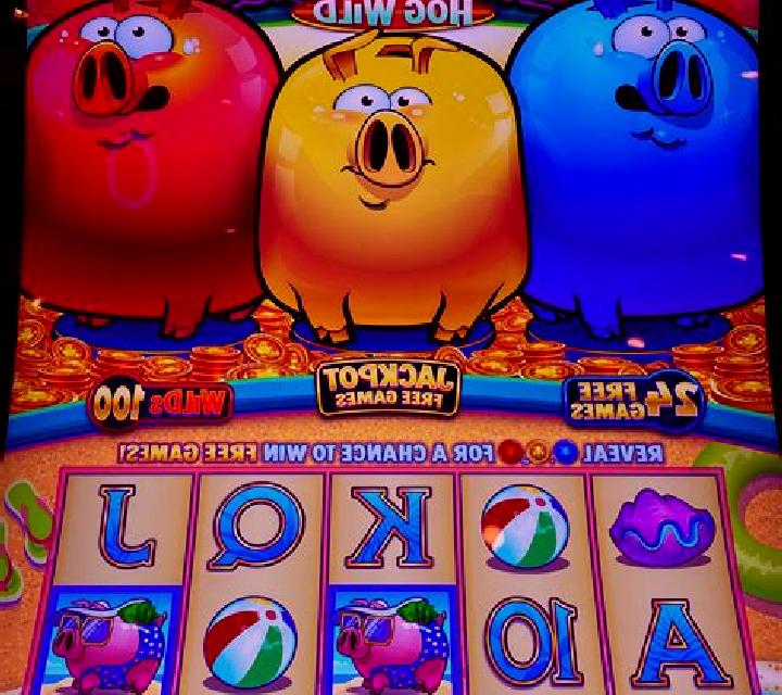 Lucky Piggies slot game