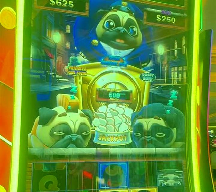 Lucky Pug slot game