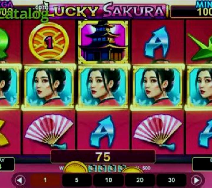 Lucky Sakura Hold & Win slot