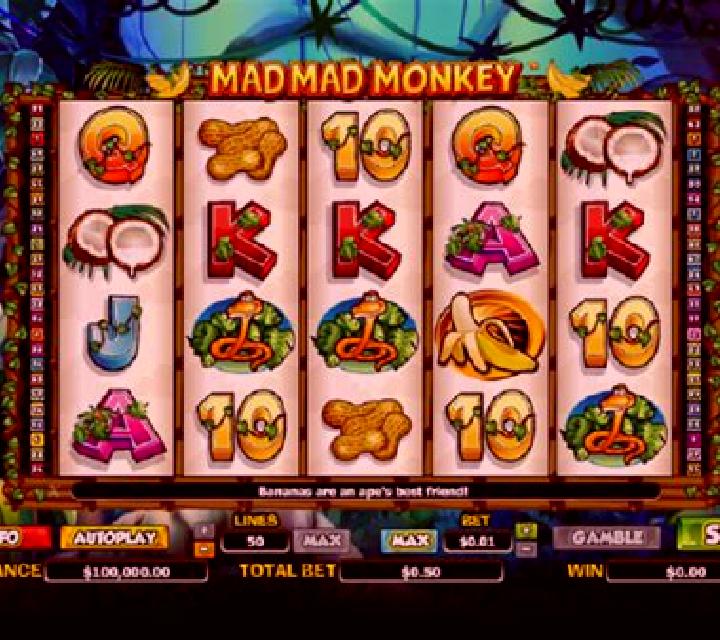 Mad Mad Monkey slot