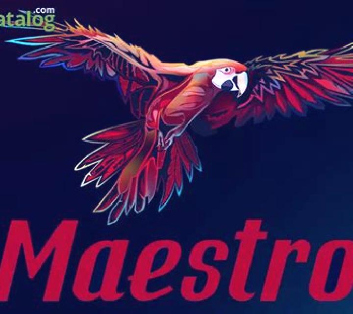 Maestro slot