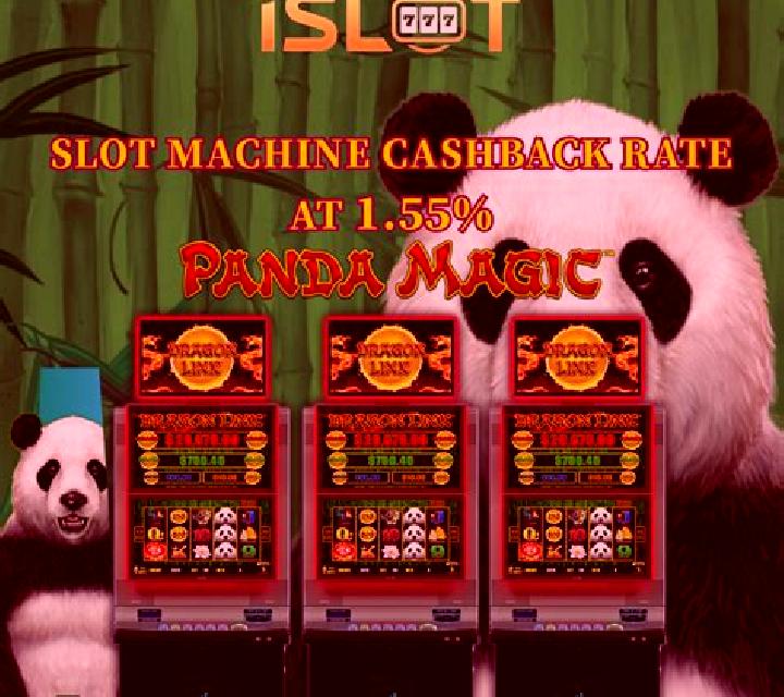 Magic Panda Riches slot game