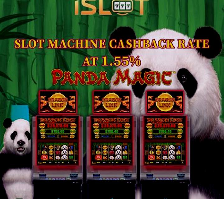 Magic Panda Riches slot machine