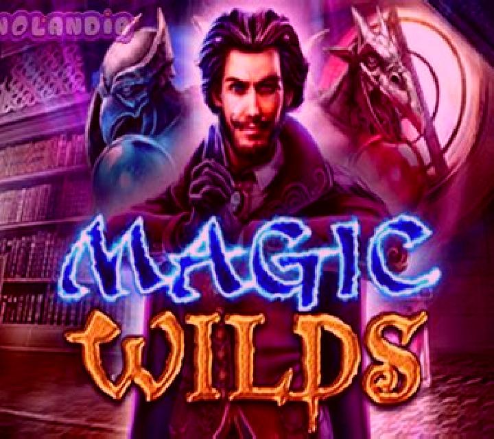 Magic Wilds slot game