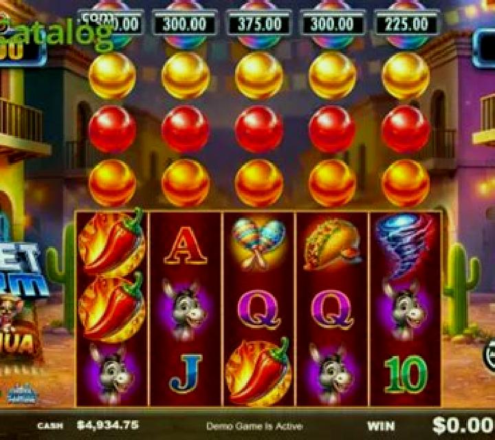 Magnet Storm Chili Chihuahua slot