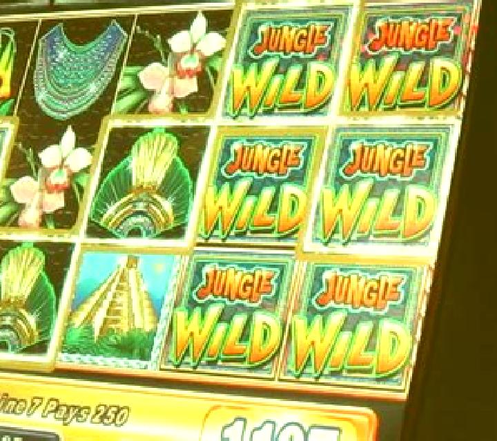 Magnificent Wild slot machine