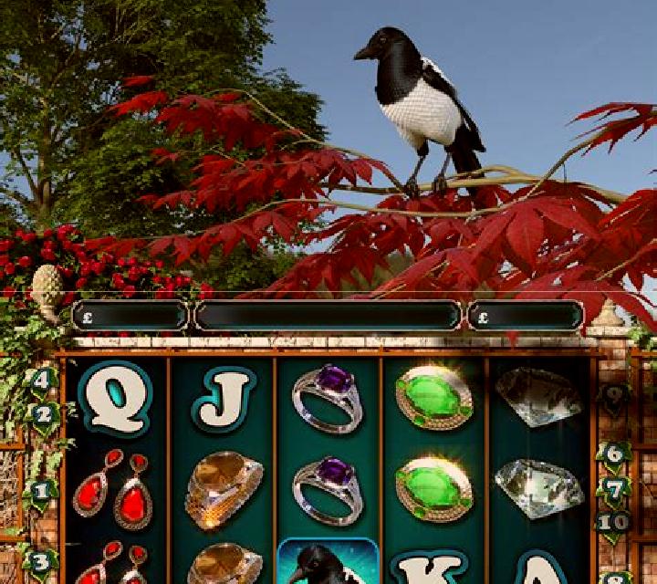 Magpie Mayhem online slot