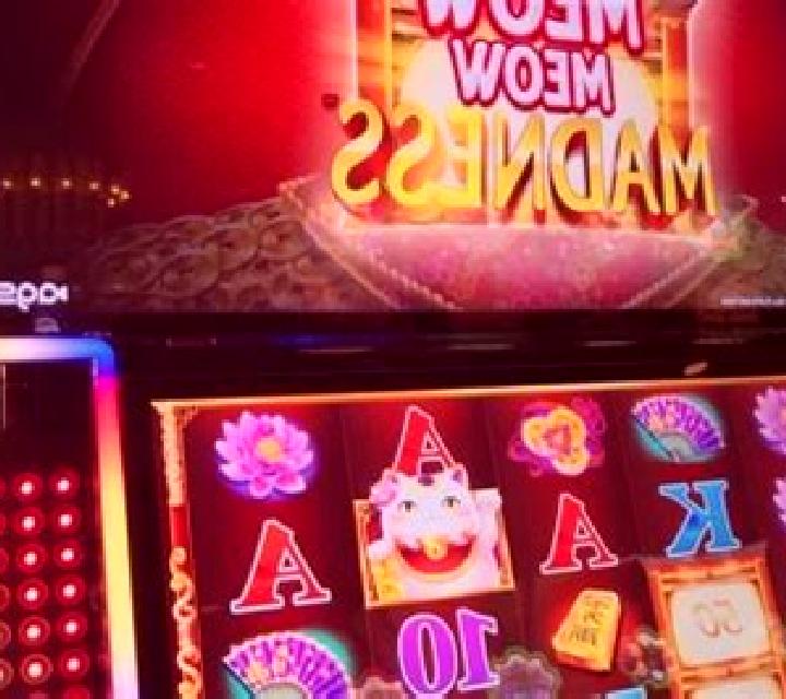 Majestic Meow slot machine