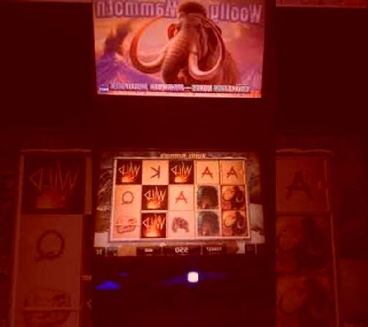 Mammoth (Betsense) slot machine